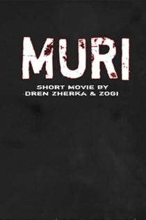 Muri