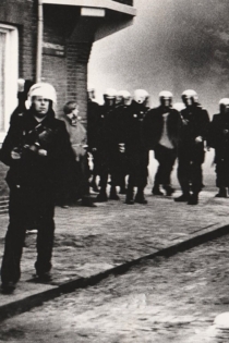 Waar de ratten koning zijn