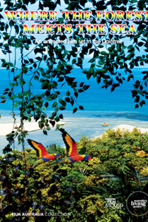 Where the Forest Meets the Sea