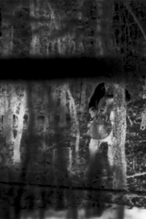 On the Other Side of the Spoon