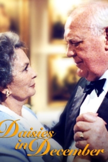 Daisies in December