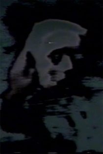 Pictures of the Lost