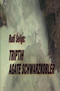Triptih Agate Schwarzkobler