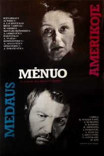 Medaus mėnuo Amerikoje