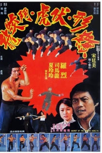 Secret of the Chinese Kung Fu