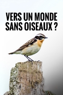 Vers un Monde Sans Oiseaux