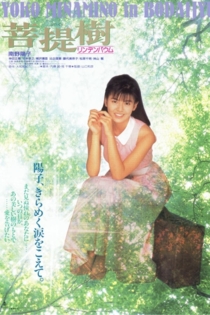 菩提樹　リンデンバウム