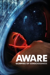 Aware – Glimpses of Consciousness