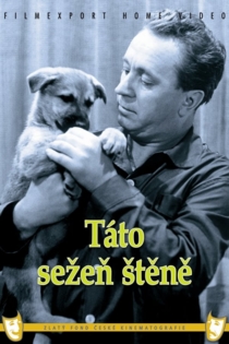 Táto, sežeň štěně