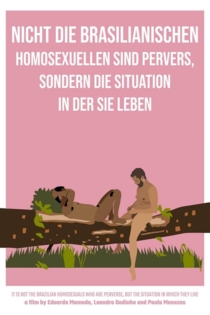 Nicht die brasilianischen Homosexuellen sind pervers, sondern die Situation, in der sie leben