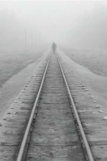 Kelionė ūkų lankomis