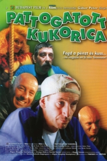 Pattogatott Kukorica