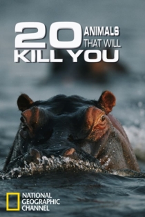 20 Animals That Will Kill