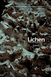 Lichen