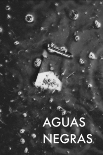 Aguas Negras