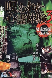 実録！呪われた心霊体験３ 怨霊激撮100連発!!