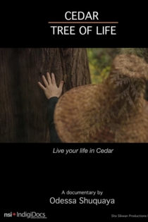 Cedar Tree of Life