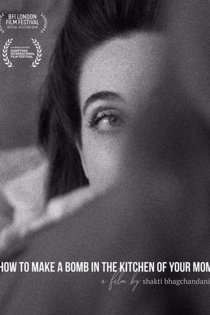 How to Make a Bomb in the Kitchen of Your Mom