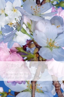 Video Art for Conditional Malaise