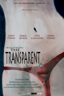 The Transparent