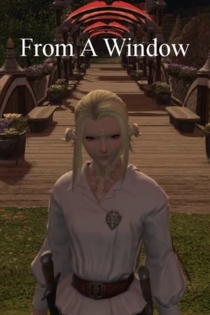 C:\Videos\From A Window.mov