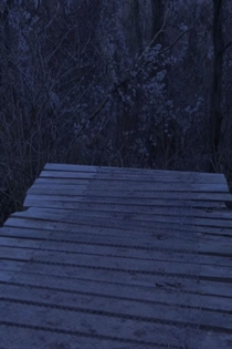 Rejigging Nest In My Diaries