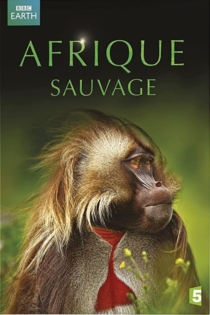 Afrique Sauvage