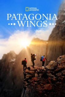 Les ailes de Patagonie