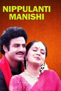 Nippulanti Manishi