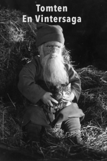 Tomten : En vintersaga av Gösta Roosling
