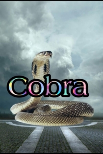 Cobra