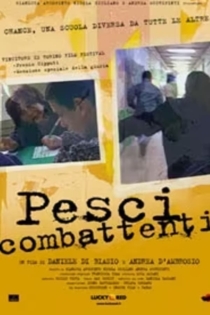 Pesci combattenti