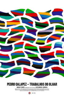Pedro Calapez: Trabalhos do Olhar