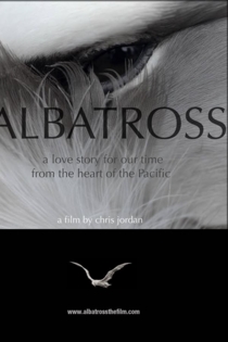 Albatross