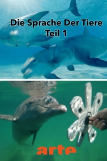 Die Eloquenz der Tiere (1/2)