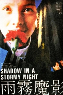 Shadow in a Stormy Night