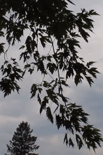 Natural Intoxication