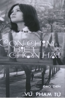 Con Chim Biết Chọn Hạt