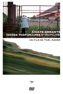 Chats errants