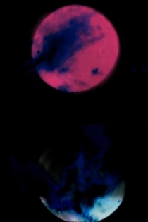 Da morte nace a vida