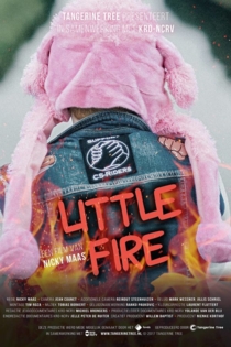 Little Fire