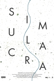 Simulacra
