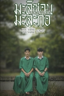 Same Same Is Not The Same