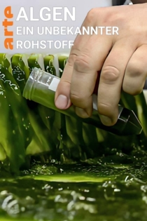 Algen: Ein unbekannter Rohstoff