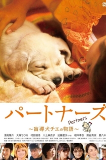 パートナーズ