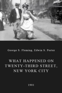 What Happened on Twenty-Third Street, New York City