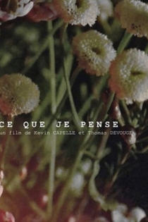 Ce que je pense