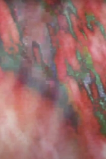 baktiotha invocation