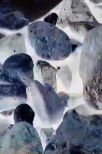 Ecosystem 27 - Density 1