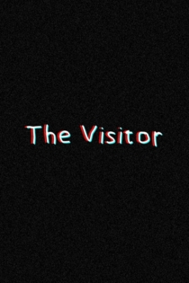 The Visitor